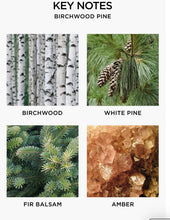 Load image into Gallery viewer, Nest-Birchwood Pine Liquid Soap NEST09 BP