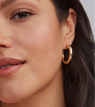 Load image into Gallery viewer, KENDRA SCOTT Colette Hoop Earrings in Gold 4217704696