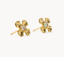 Load image into Gallery viewer, Kendra Scott-Leanne Gold Stud Earrings 9608805579