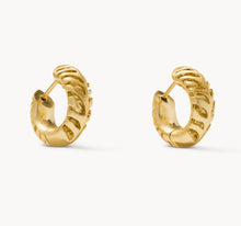 Load image into Gallery viewer, Kendra Scott-Tiger Striped Mikki Gold Huggie Earrings 9608805535