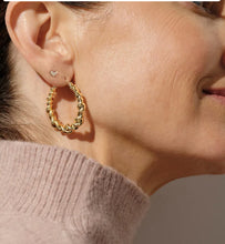 Load image into Gallery viewer, Kendra Scott-Haisley Hoop Earrings in Gold 9608870699