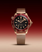 Load image into Gallery viewer, OMEGA SEAMASTER DIVER 300M 210.90.42.20.01.003