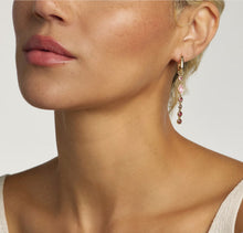 Load image into Gallery viewer, KENDRA SCOTT Mini Elisa Abbie Gold Convertible Huggie Earrings  9608890887