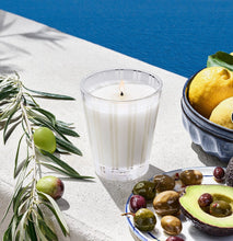 Load image into Gallery viewer, Nest-Santorini Olive &amp; Citron Classic Candle Nest01 SOC